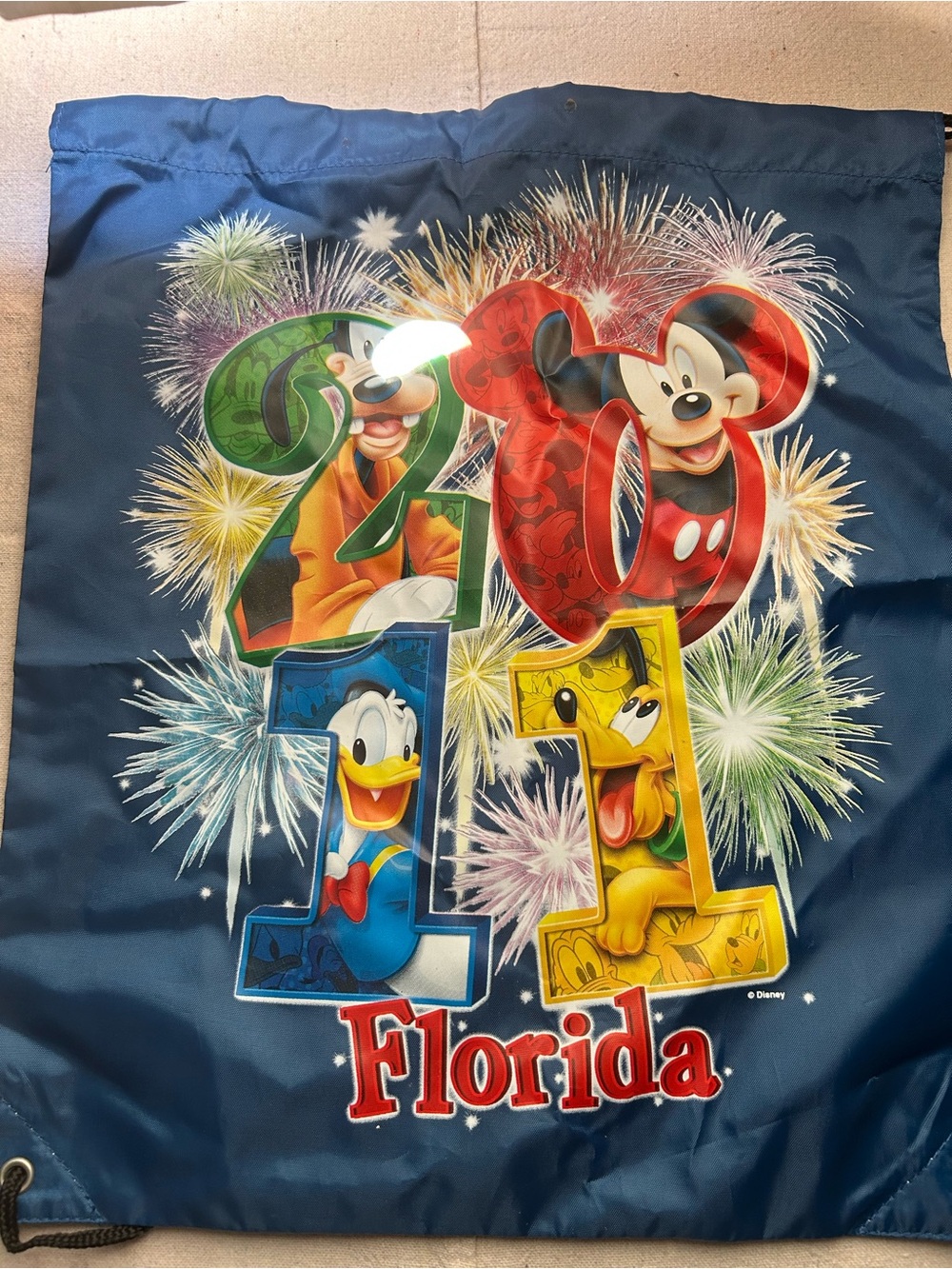 2011 Florida Disneyland Bag